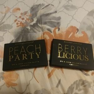 Academy of Colour Palette Bundle